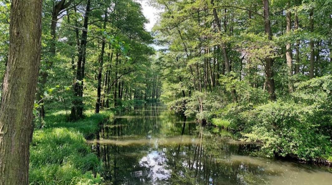 Spreewald Spreemilia Gurkenbude Lübbenau Eksteriør billede